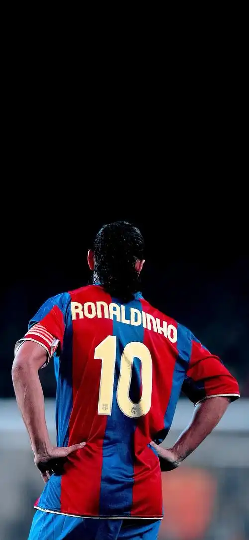 利用了遵义 利用了遵义